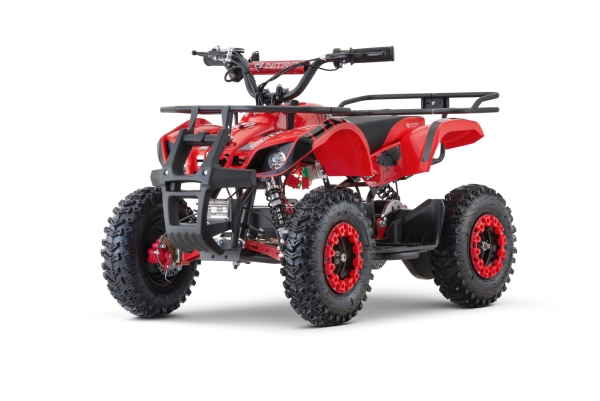 E-Quad Nitro Torino 1200 Watt 48 Volt 6 Zoll